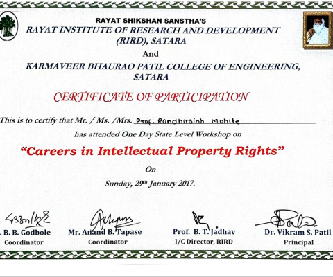 Careers in Intellectual Property Rights